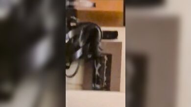 Corno gravou sua mulher fodendo com dotado - Screenshot 4