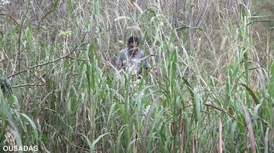 Amanda Borges went down to pee and fucked a man in the woods